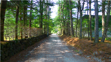 前面道路（南西方向を撮影）