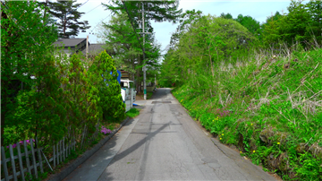 前面道路（北東方向を撮影）