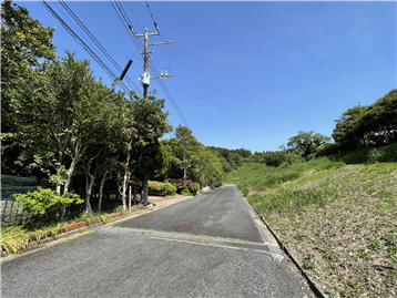 前面道路（南東側を撮影）