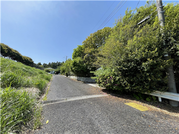 前面道路（南西側を撮影）