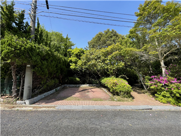 南西側前面道路と敷地
