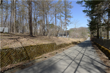 前面道路／南側から北側を撮影