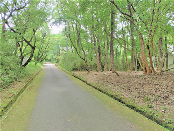 北東側約5.0ｍ幅の接面道路