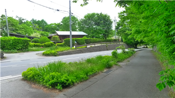 東側前面道路（南東方向を撮影）