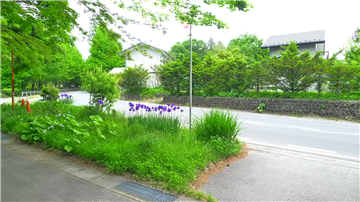 東側前面道路（北東方向を撮影）