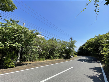 敷地（古家付）／前面道路北西方向より撮影
