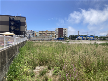 敷地北側から南方向
