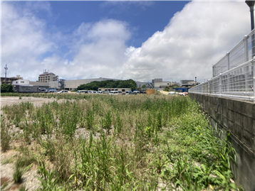 敷地北西側から南方向を撮影