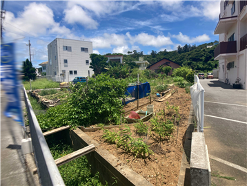 対象敷地／西側から撮影