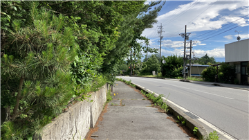 西側前面道路／南方向を撮影
