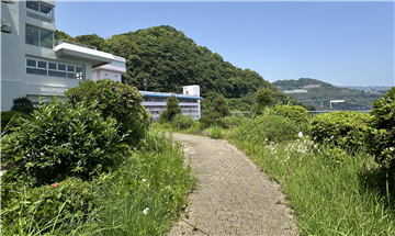 敷地内の遊歩道