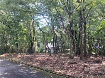 接面道路西側より敷地内東方向を撮影