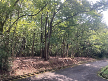 接面道路の北側より南方向を撮影