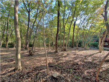 敷地内北西側より南東方向を撮影