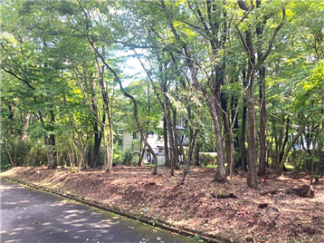 接面道路西側より敷地内東方向を撮影