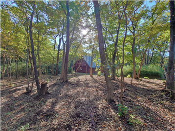 敷地内北東側より南西方向を撮影