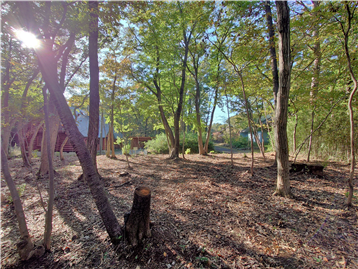 敷地内東側より西方向を撮影