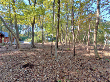 敷地内南西側より北東方向を撮影