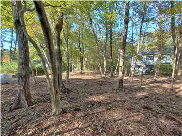 敷地内南側より北方向を撮影