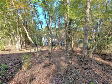 敷地内南東側より北西方向を撮影