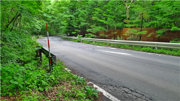 南西側前面道路（南方向を撮影）