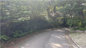 北東側前面道路（西方向を撮影）