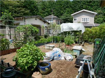 お庭 