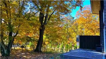 テラス/南西方向を撮影