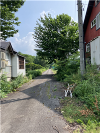 南東側道路から南方向を撮影(古家付)