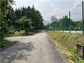 南東側道路から敷地南方向を撮影