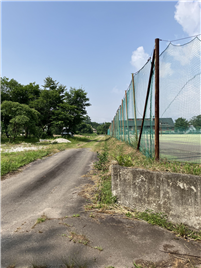 南西側道路から北東方向を撮影(古家付)
