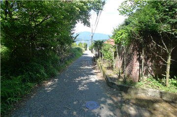 北西側前面道路（北東方向を撮影）