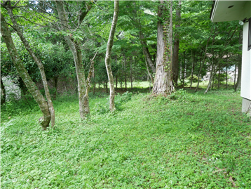 東急箱根仙石原