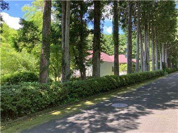 別荘地内にあり静かな環境です／東側から西側撮影