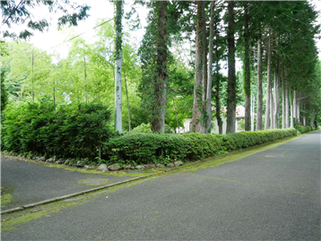 別荘地内にあり静かな環境です／北東側前面道路から撮影／古家付