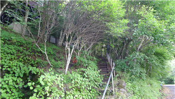 敷地（建物までのアプローチ）