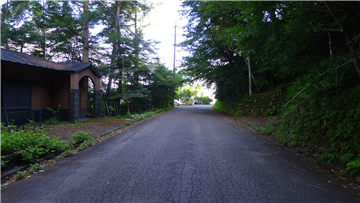 前面道路（南方向を撮影）