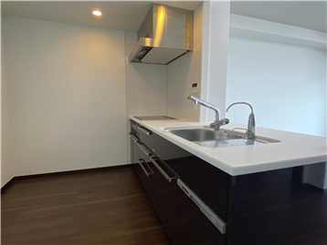 ビルトイン食洗機、IHクッキングヒーターのあるキッチン