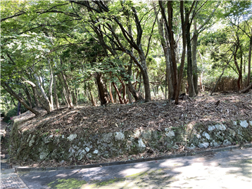 北側の接道から南方向を撮影