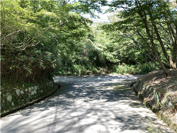 北西側の接道