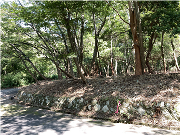 北西側の接道から敷地北側を撮影