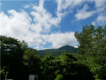 ＬＤＫ出窓から北方向を撮影、深緑の木々と金時山