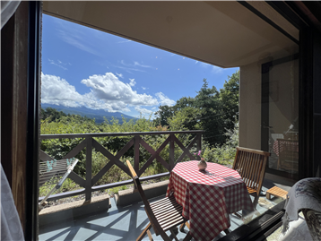 LDK窓からの景観 / 南方向を撮影