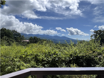 バルコニーからの景観 / 南東方向を撮影