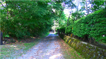 前面道路（北東方向を撮影）