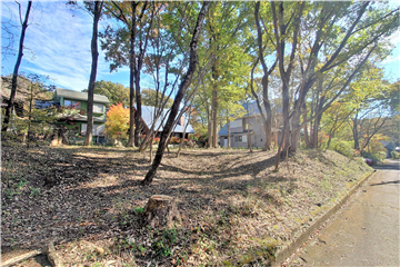 接面道路の西側より敷地内東方向