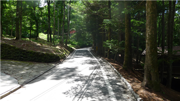 前面道路（南西方向を撮影）
