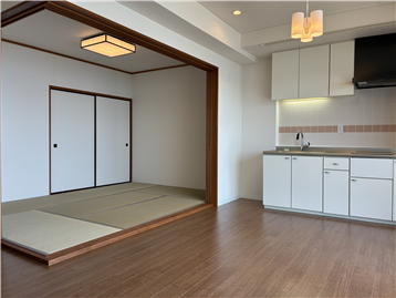 LDK（リフォーム・補修等実施済）