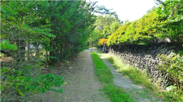 前面道路（西方向を撮影）