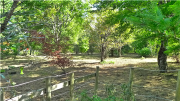 軽井沢　小丸浦